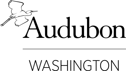 Logo for Audubon Washington